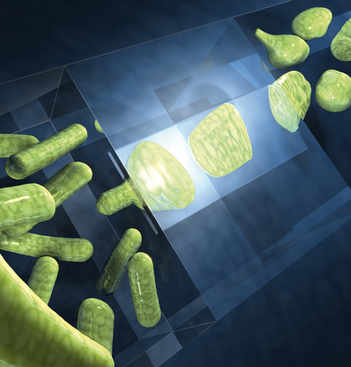 Artistieke impressie van bacteriën (links onder) die zich door een nanospleet (midden) werken, waarna ze er in ongebruikelijke vormen weer uitkomen (rechtsboven). Merk op dat de bacteriën in de nanokanalen platgedrukt zijn (Kavli TU Delft / Tremani)